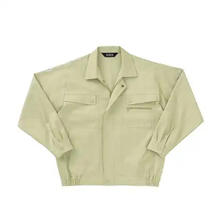 020 エクルマスタード