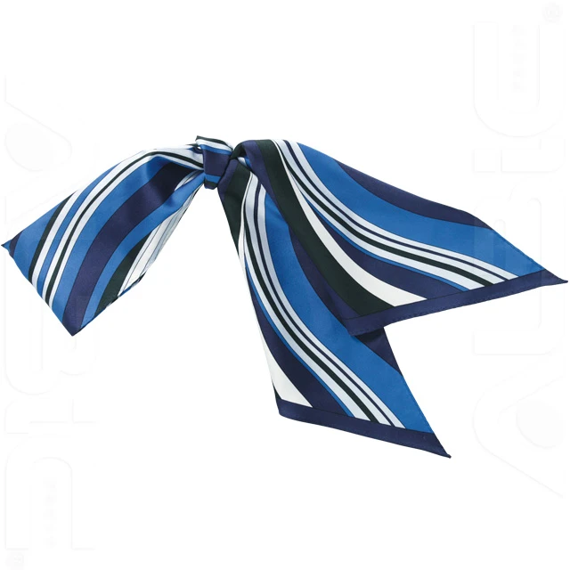 スカーフ EAZ487 6.ブルー